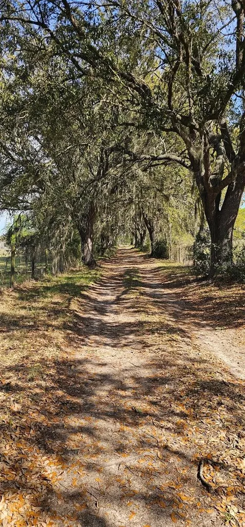1869 SW 32nd Place Bell FL 32619