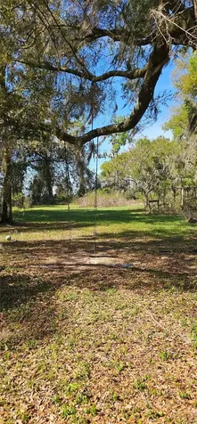1869 SW 32nd Place Bell FL 32619