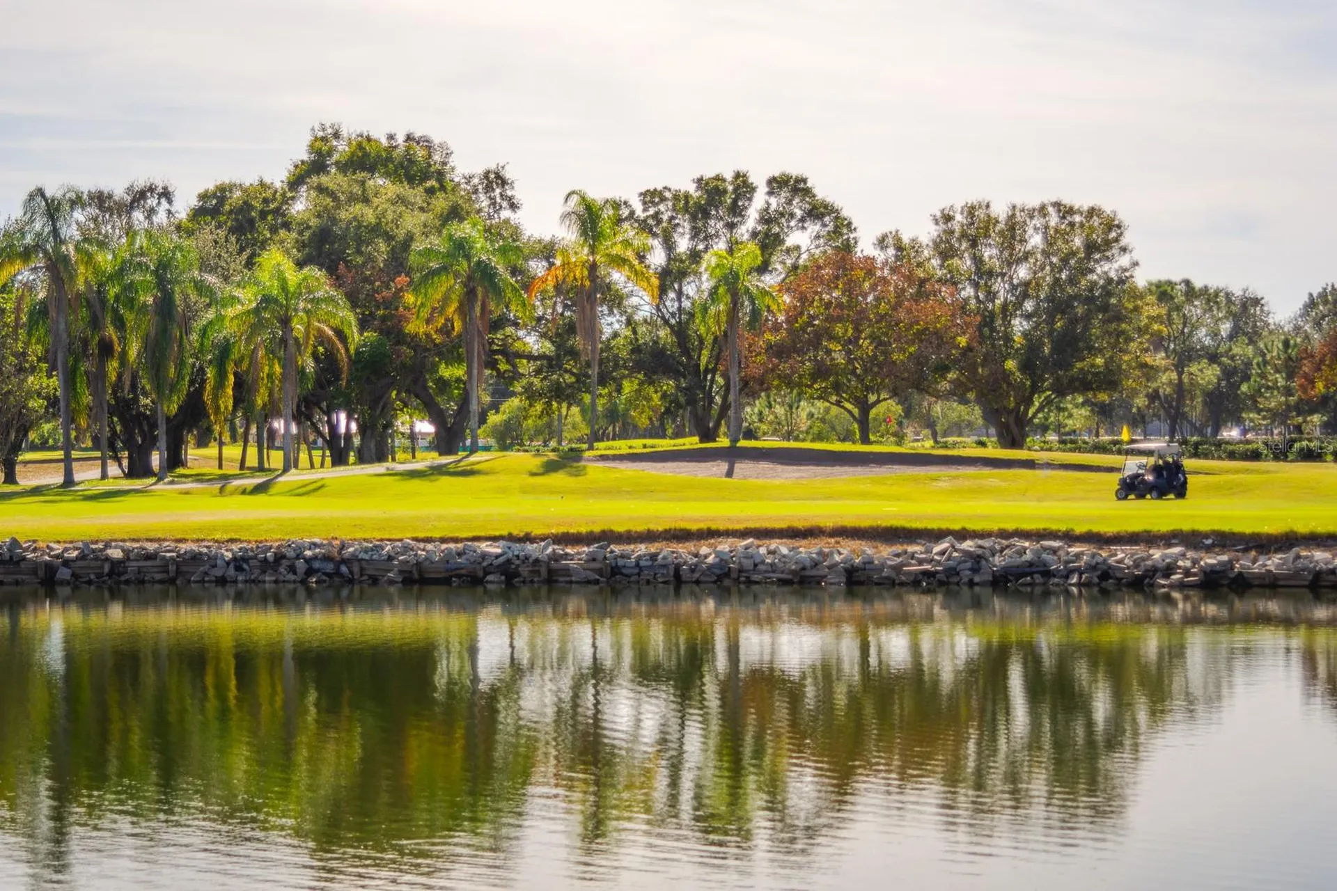 2620 Cove Cay Drive Clearwater FL 33760