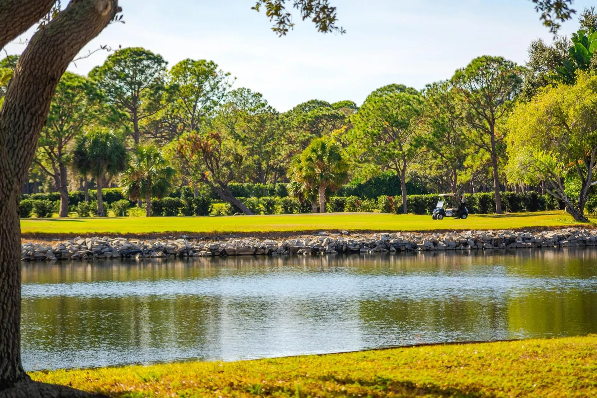 2620 Cove Cay Drive Clearwater FL 33760