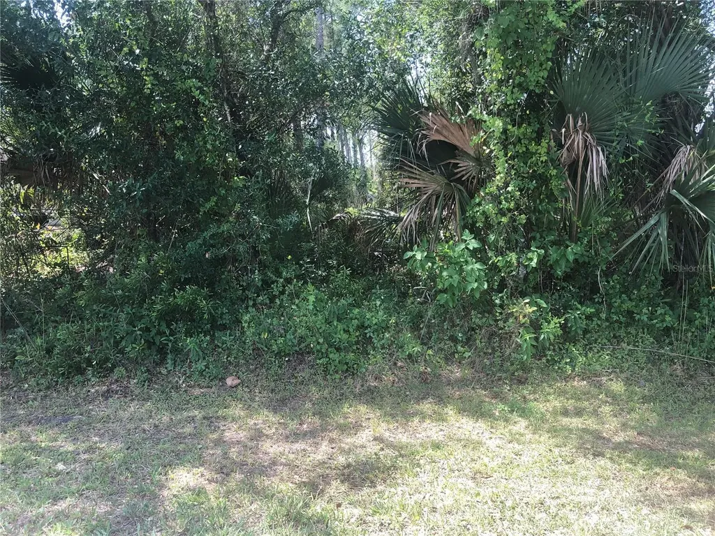 Charland Avenue North Port FL 34291