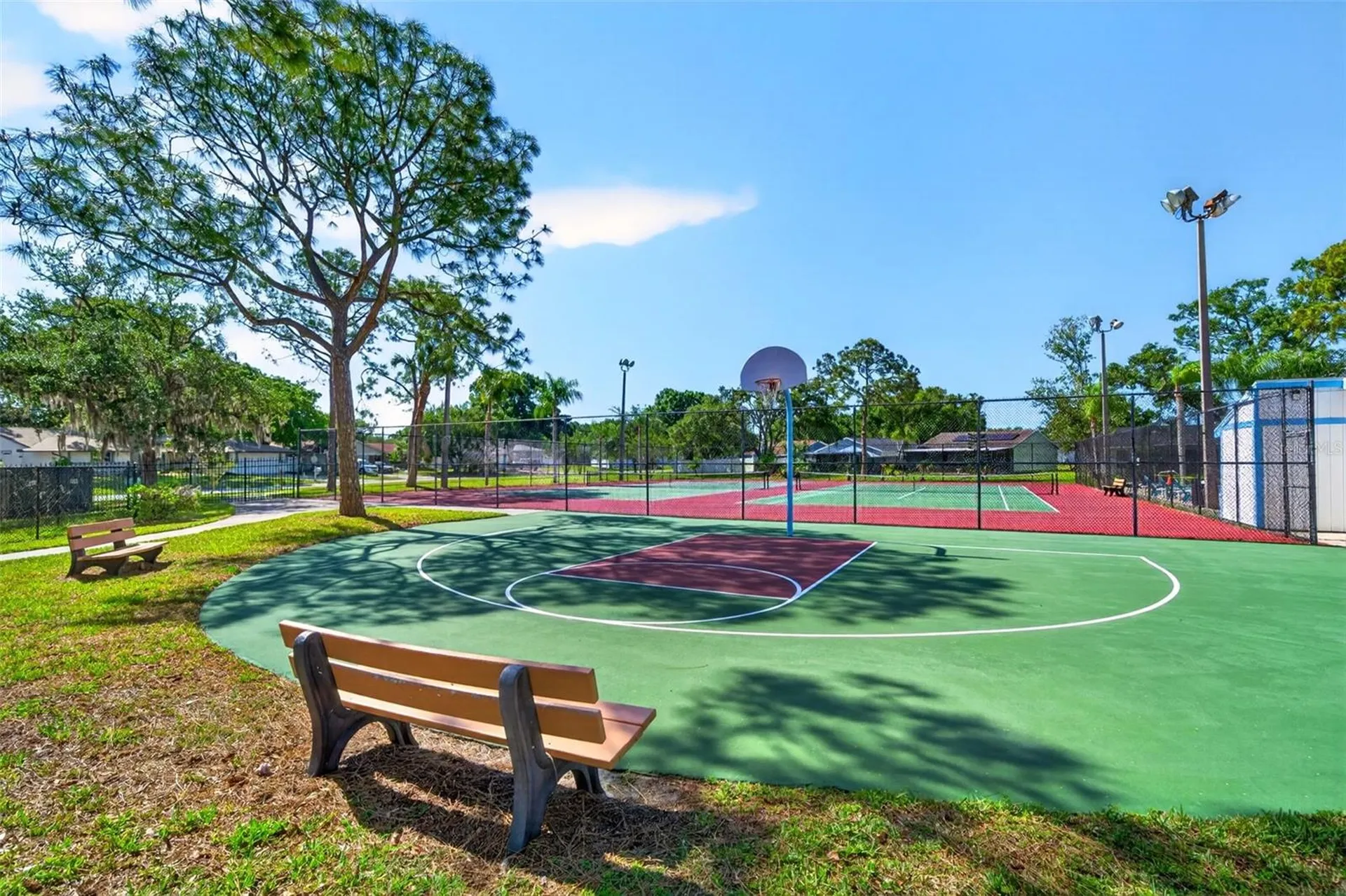 549 Longwood Circle Oldsmar FL 34677