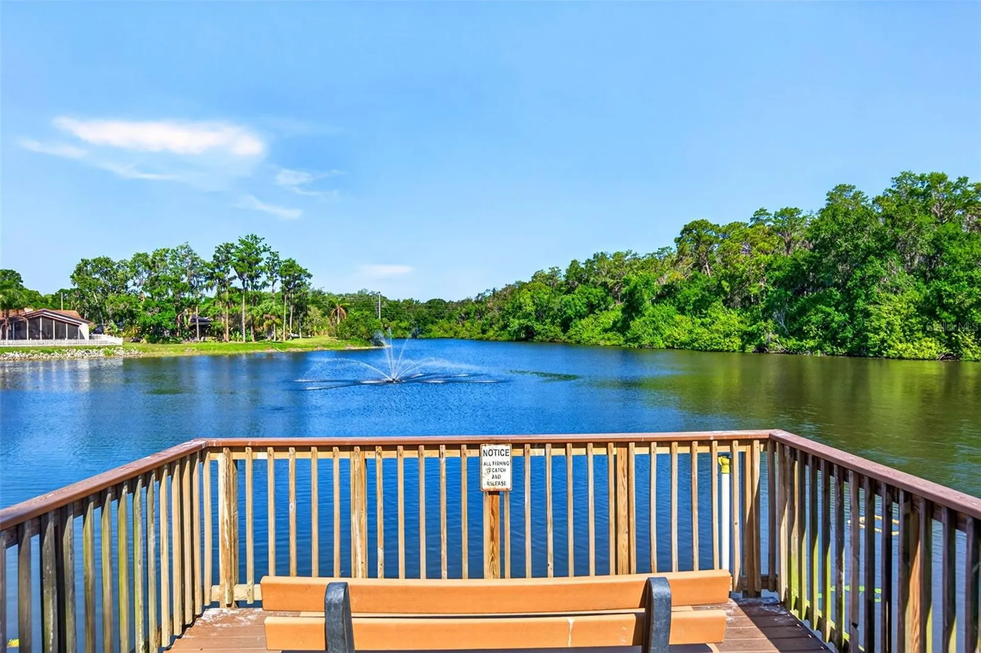549 Longwood Circle Oldsmar FL 34677