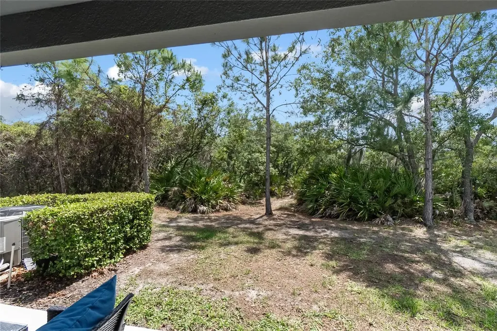 8990 Indigo Trail Loop Riverview FL 33578