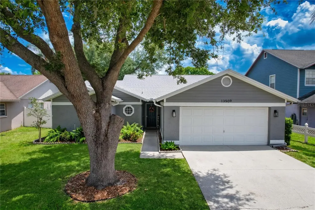 13509 Fawn Ridge Boulevard Tampa FL 33626