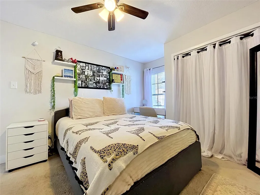 13509 Fawn Ridge Boulevard Tampa FL 33626