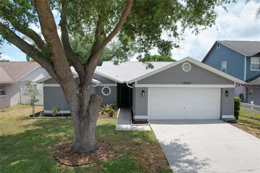 13509 Fawn Ridge Boulevard Tampa FL 33626