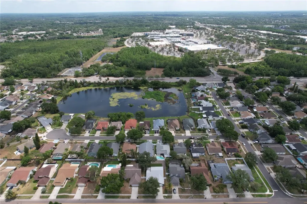 13509 Fawn Ridge Boulevard Tampa FL 33626