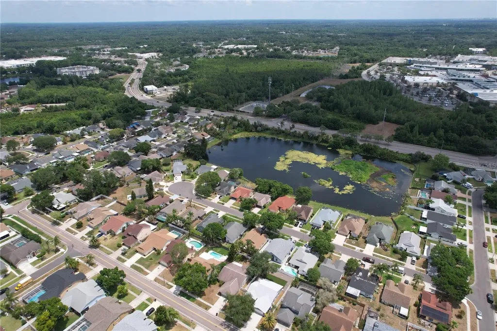 13509 Fawn Ridge Boulevard Tampa FL 33626