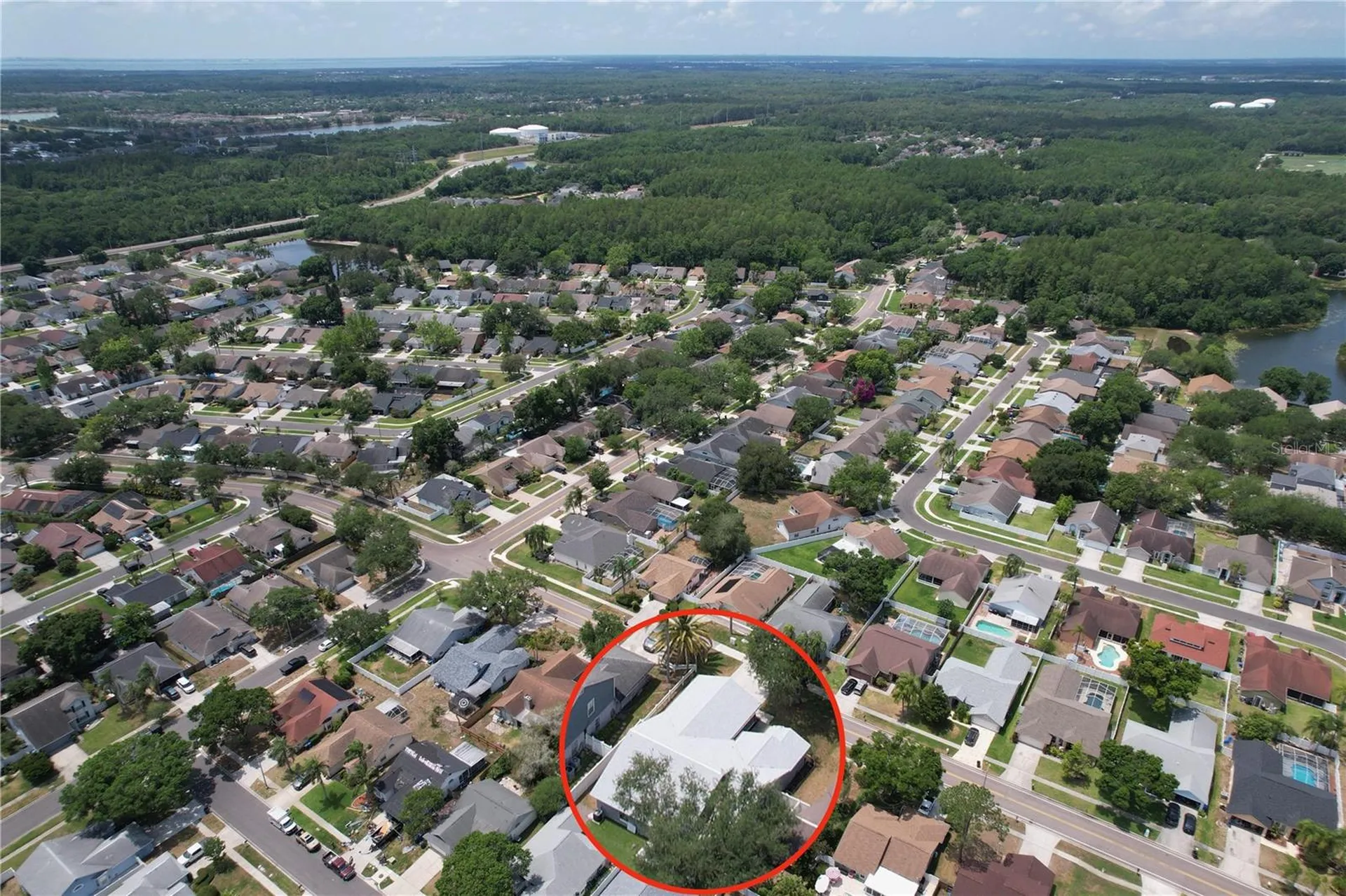 13509 Fawn Ridge Boulevard Tampa FL 33626