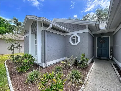 13509 Fawn Ridge Boulevard Tampa FL 33626