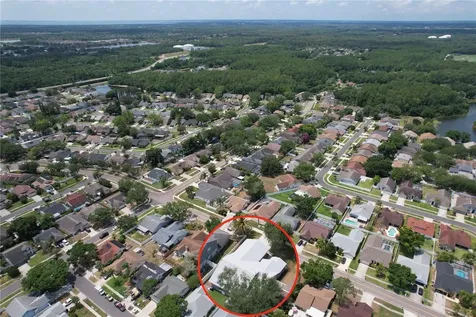 13509 Fawn Ridge Boulevard Tampa FL 33626