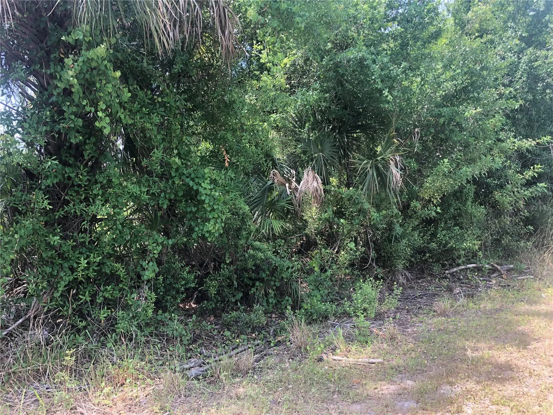 Dandurand Avenue North Port FL 34291