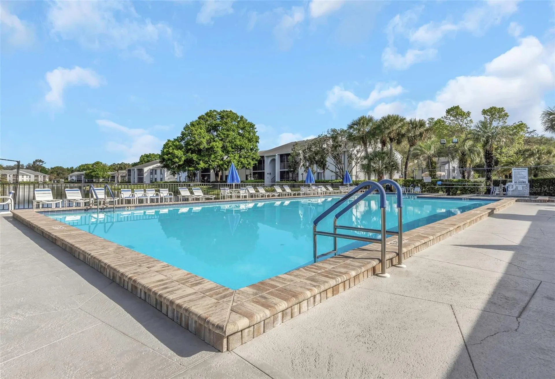 1281 Pine Ridge Circle E Tarpon Springs FL 34688