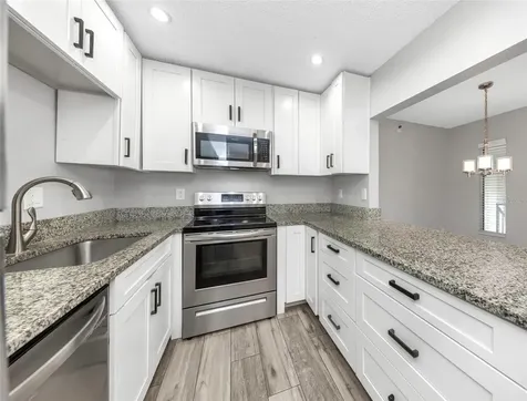 1281 Pine Ridge Circle E Tarpon Springs FL 34688
