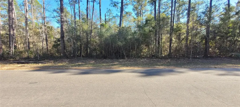 Cherokee Drive Sopchoppy FL 32358