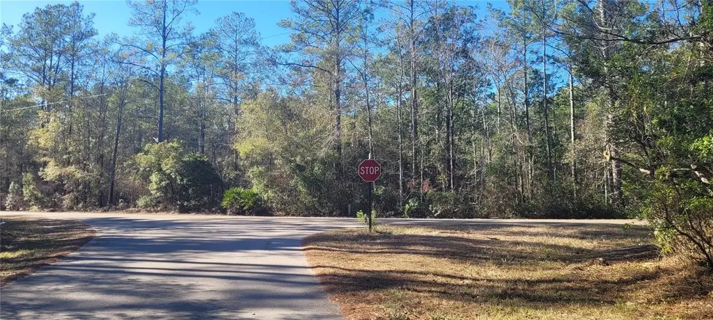 Cherokee Drive Sopchoppy FL 32358