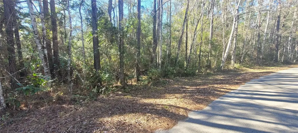 Cherokee Drive Sopchoppy FL 32358