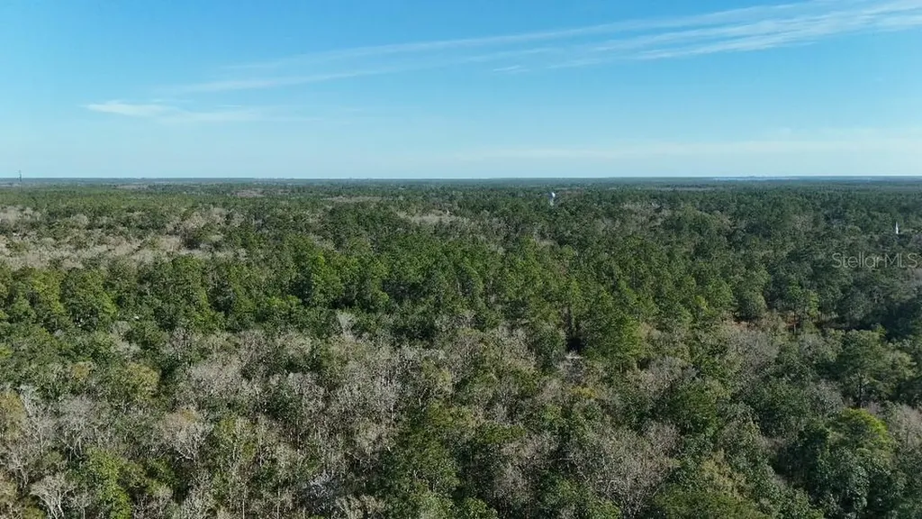 Cherokee Drive Sopchoppy FL 32358