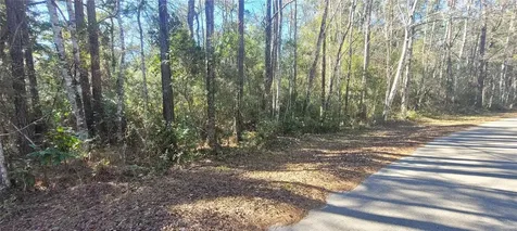 Cherokee Drive Sopchoppy FL 32358