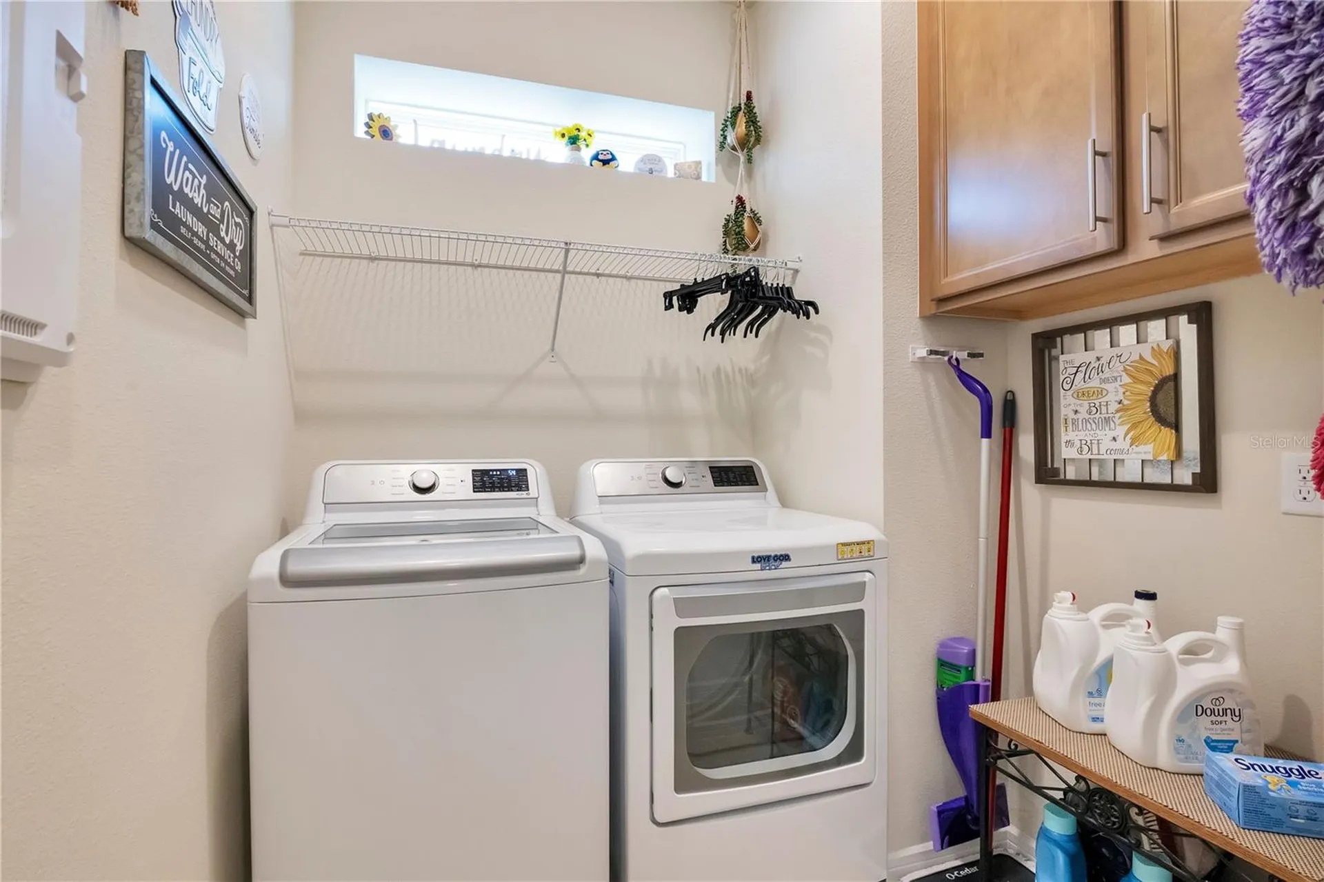 15157 Aqua Sol Lane Winter Garden FL 34787