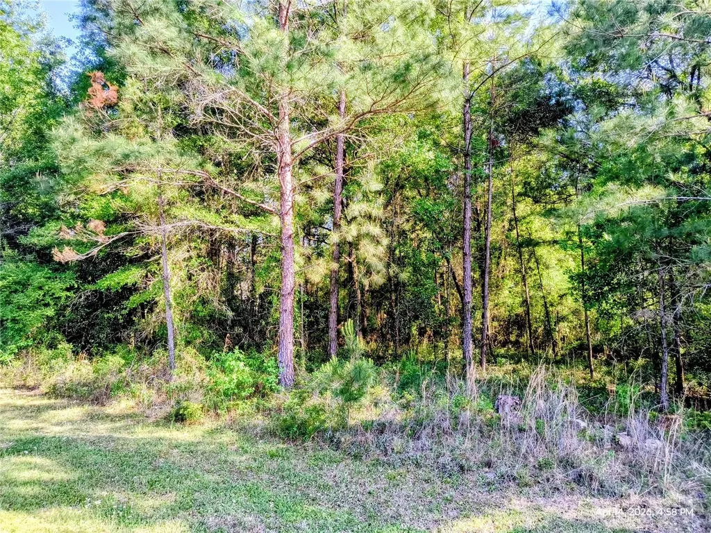 Tbd NW 142nd Street Williston FL 32696