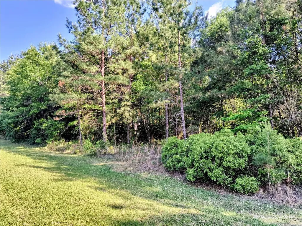 Tbd NW 142nd Street Williston FL 32696