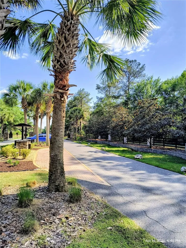 Tbd NW 142nd Street Williston FL 32696