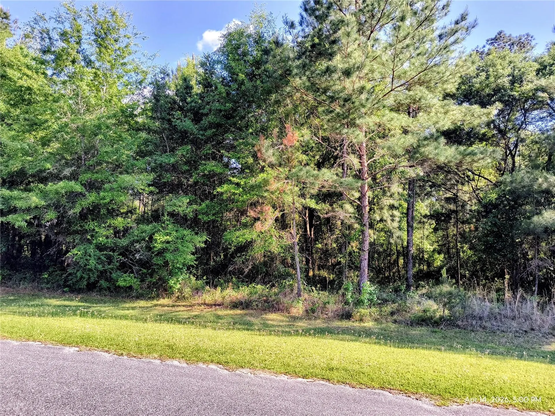Tbd NW 142nd Street Williston FL 32696