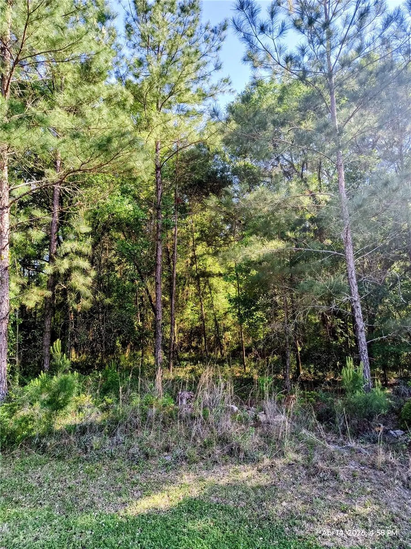 Tbd NW 142nd Street Williston FL 32696