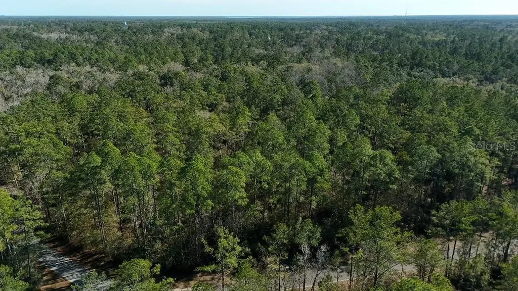 0 Cherokee Drive Sopchoppy FL 32358
