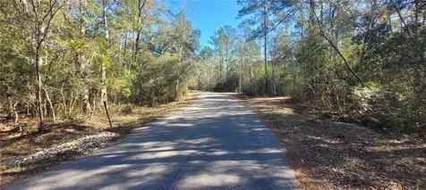 0 Cherokee Drive Sopchoppy FL 32358