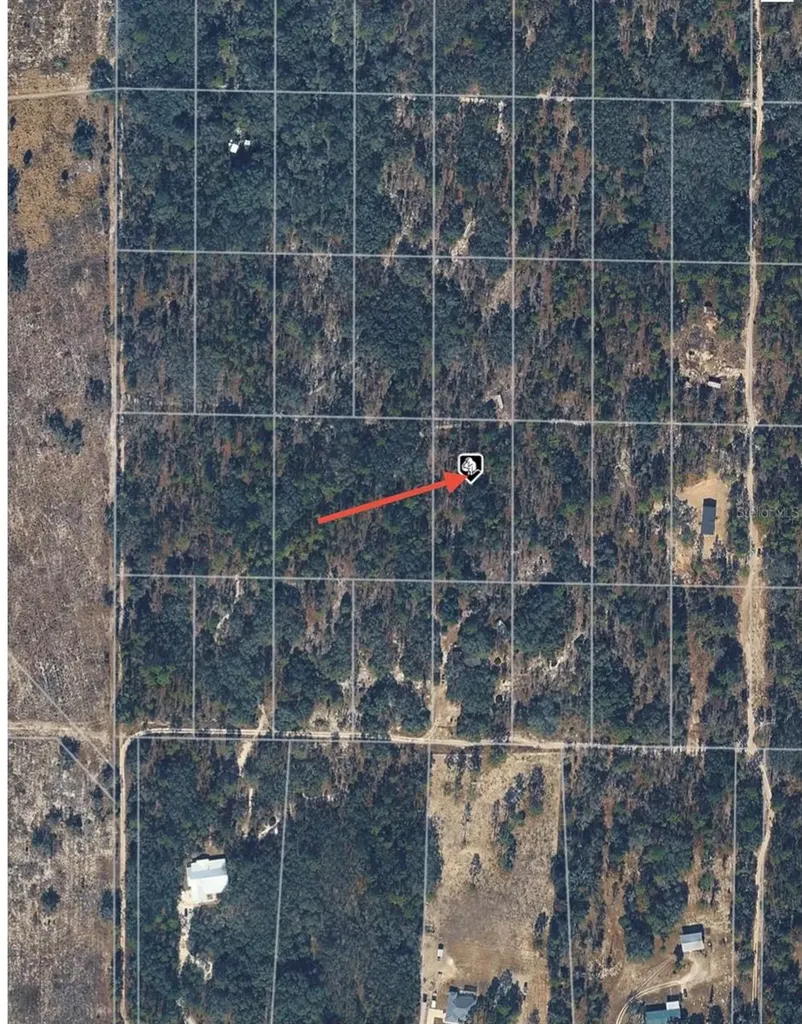 SE 64th Place Morriston FL 32668