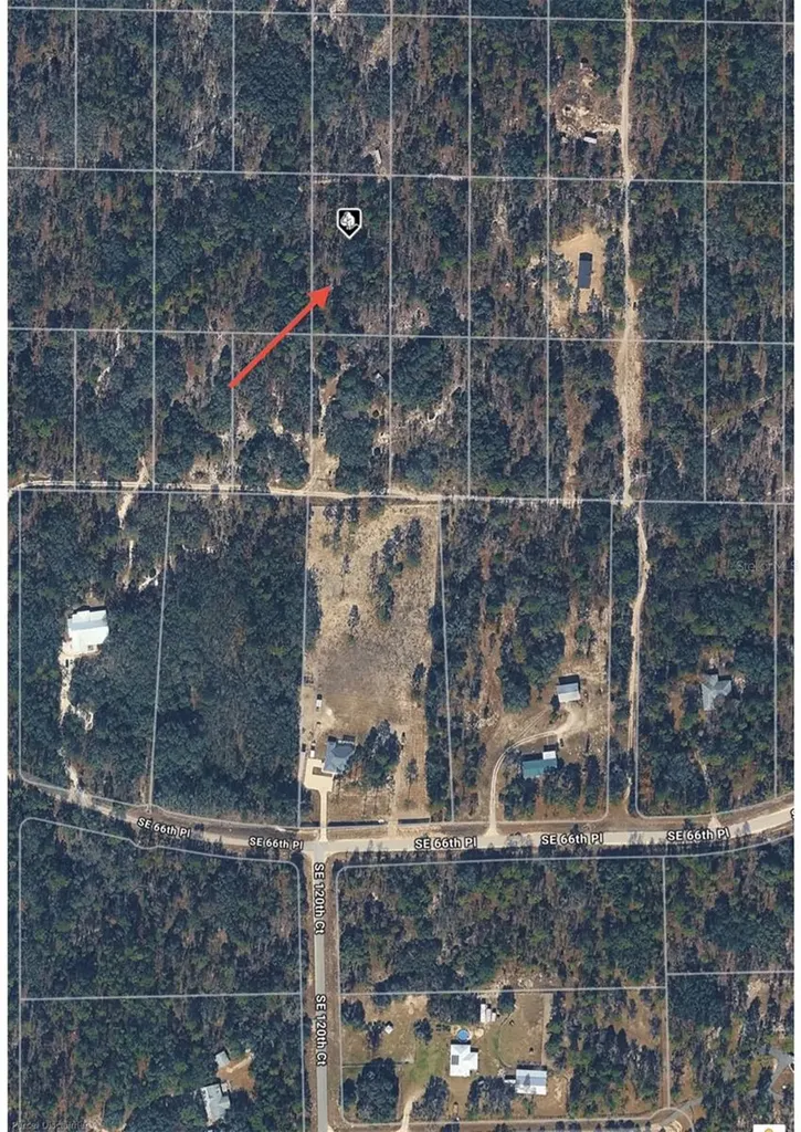SE 64th Place Morriston FL 32668