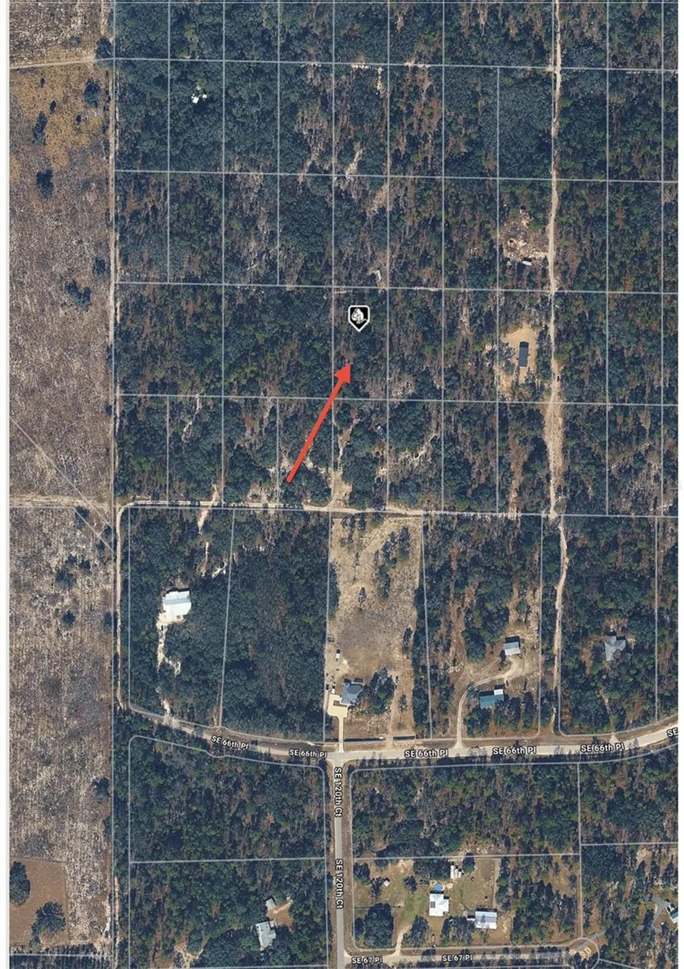 SE 64th Place Morriston FL 32668