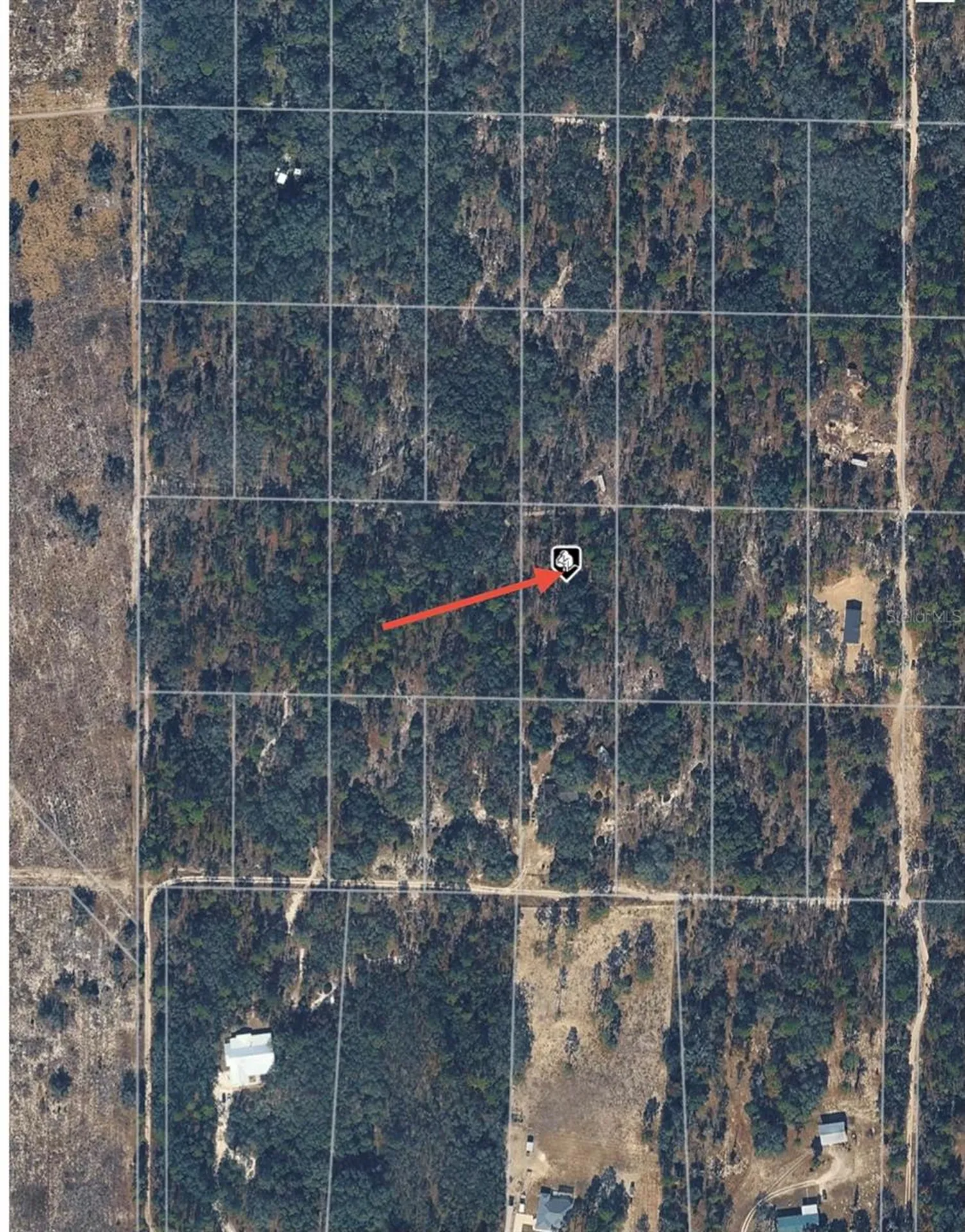 SE 64th Place Morriston FL 32668