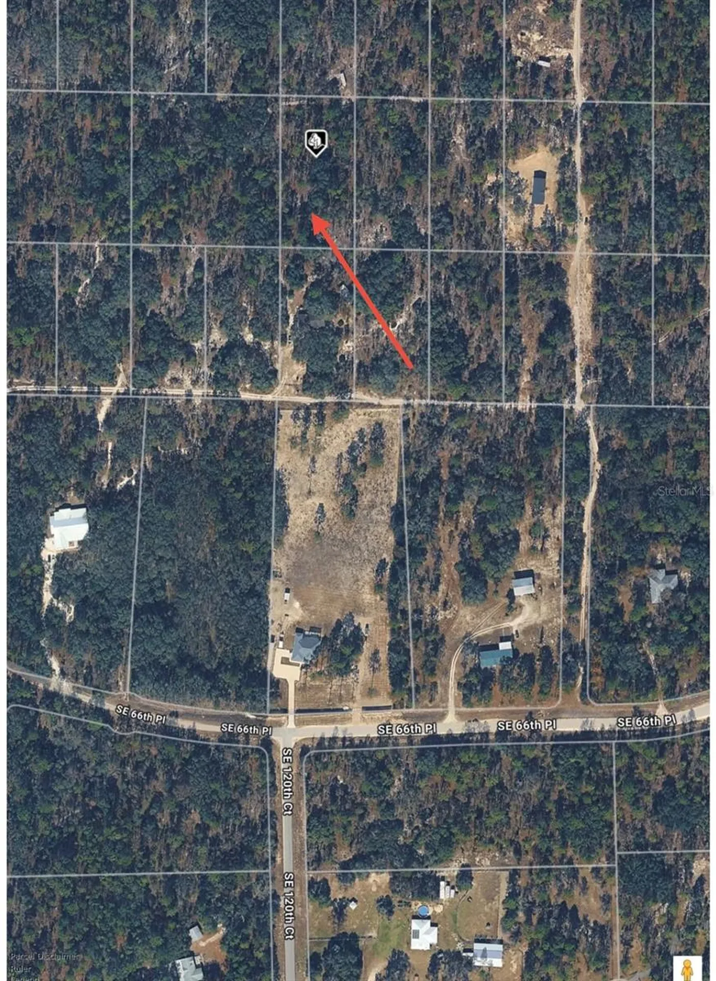 SE 64th Place Morriston FL 32668