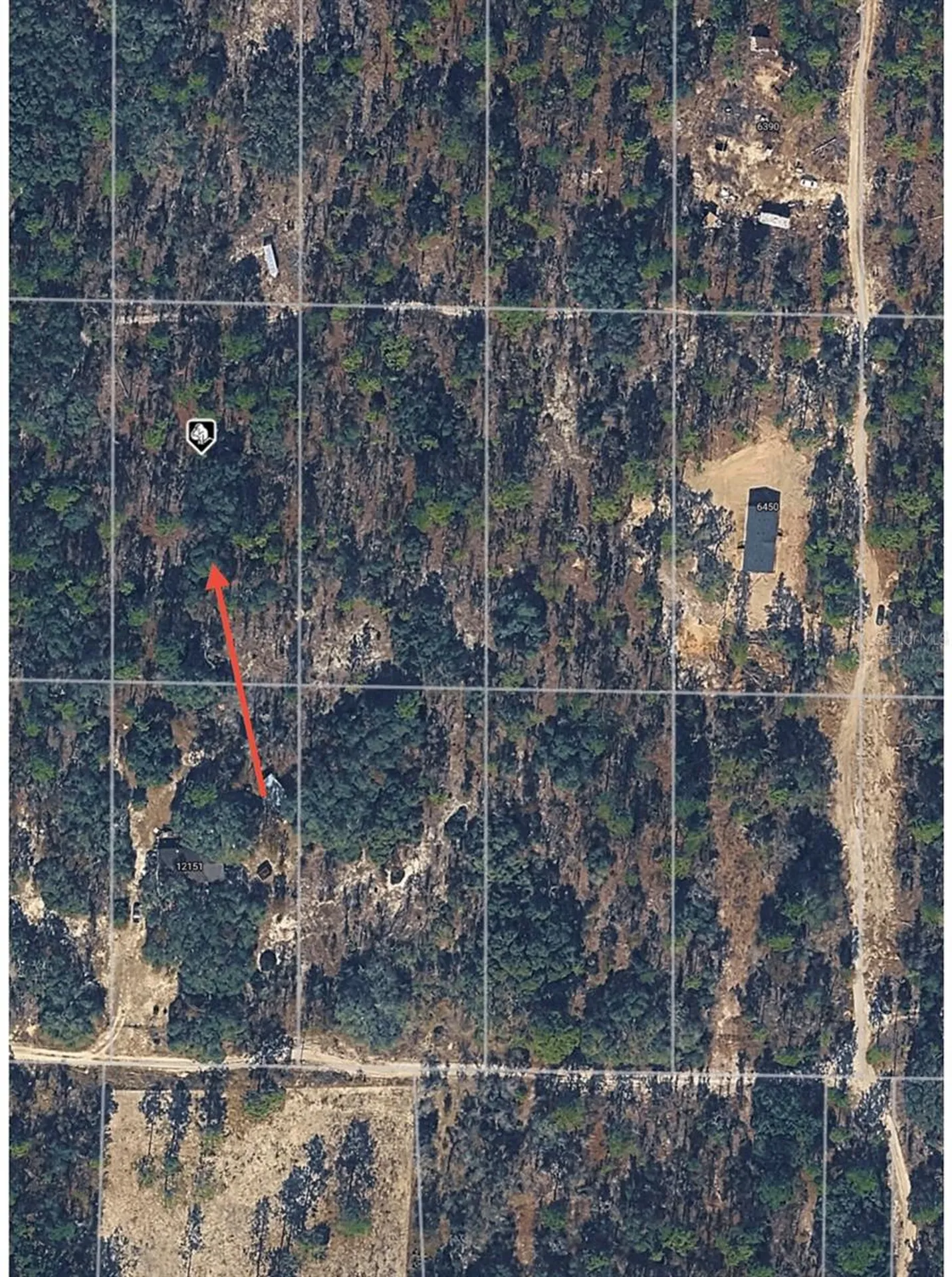 SE 64th Place Morriston FL 32668