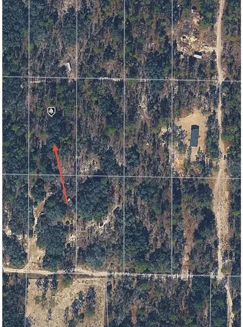 SE 64th Place Morriston FL 32668