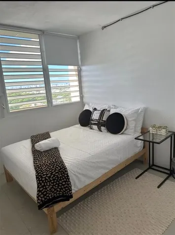 220 49 San Juan PR 00924