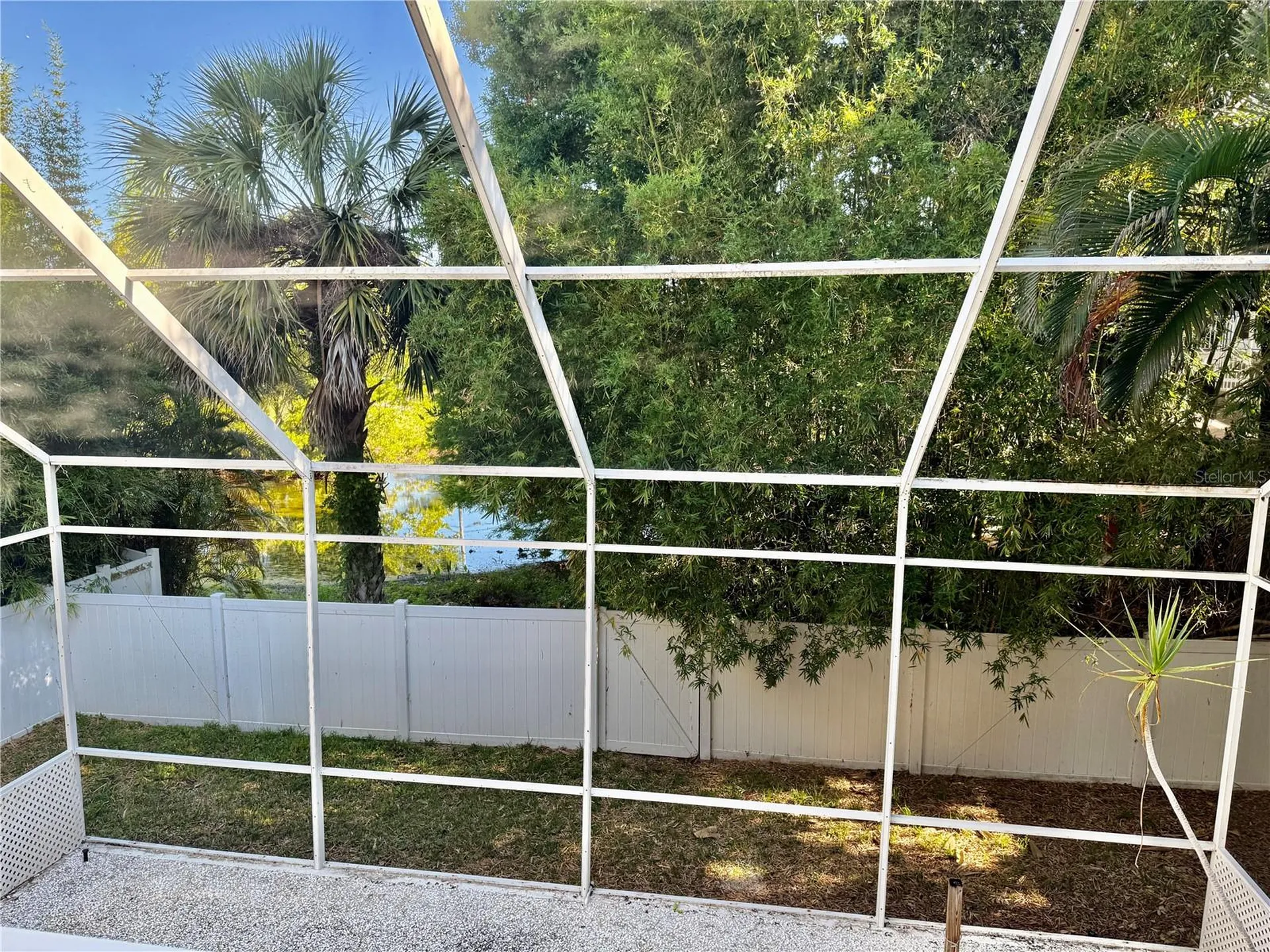 501 Palm Avenue Palm Harbor FL 34683