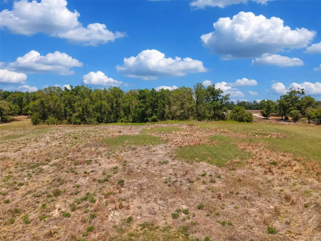 18 Ac NW Cr 138 Branford FL 32008