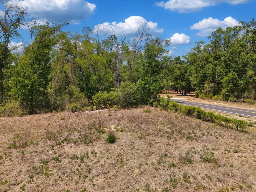 18 Ac NW Cr 138 Branford FL 32008