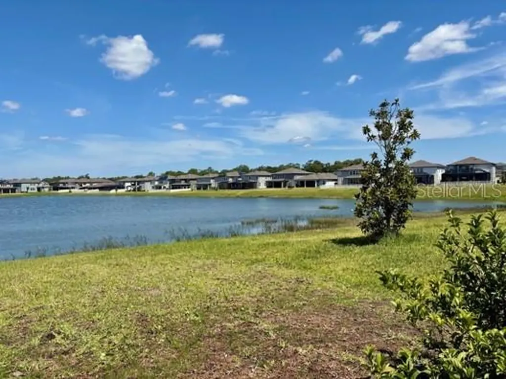 3091 Marine Grass Drive Wimauma FL 33598