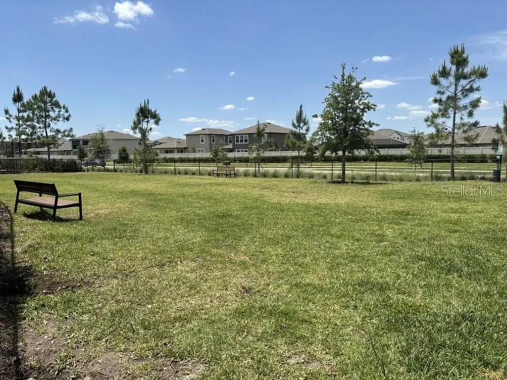 3091 Marine Grass Drive Wimauma FL 33598