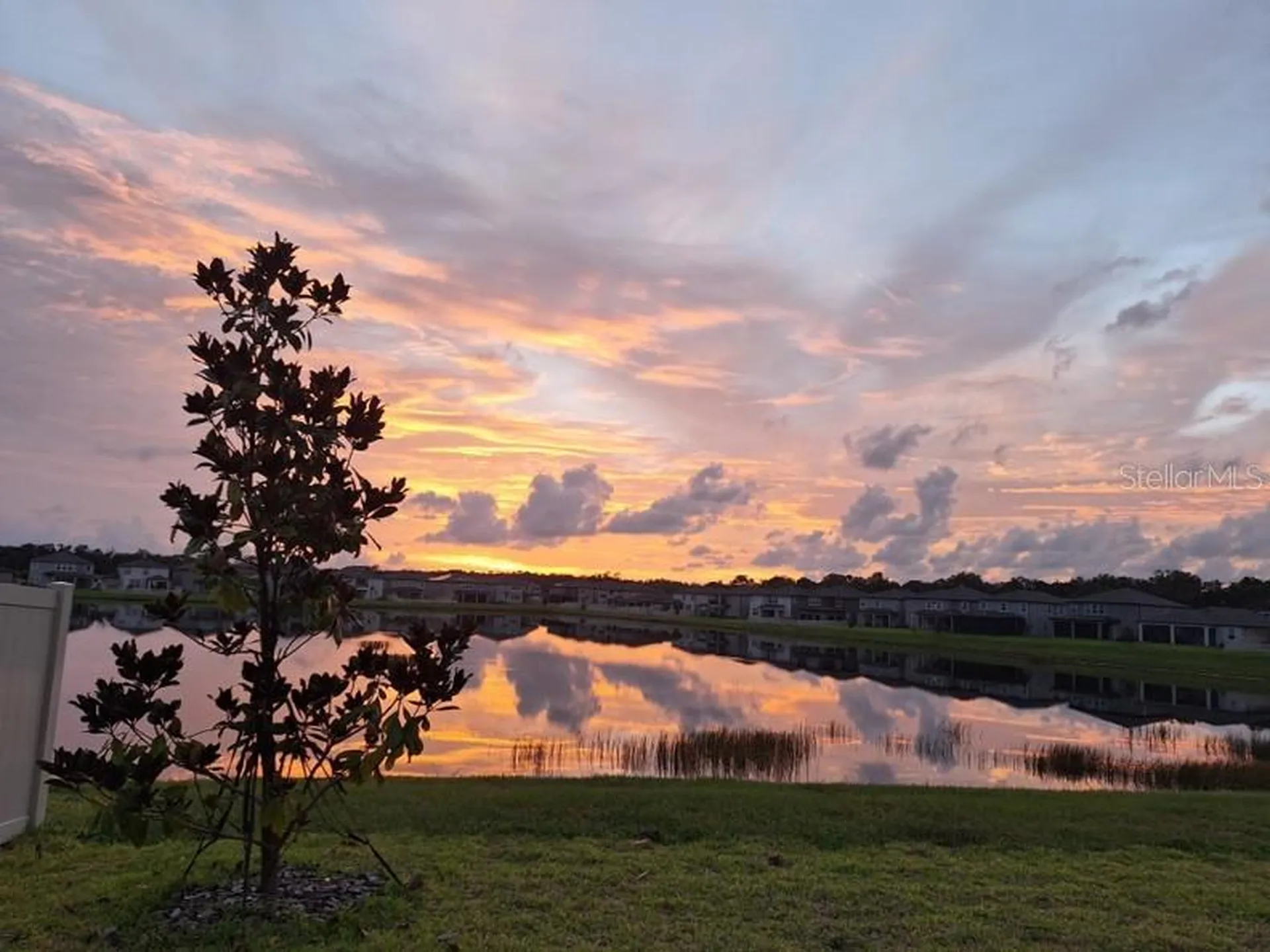 3091 Marine Grass Drive Wimauma FL 33598