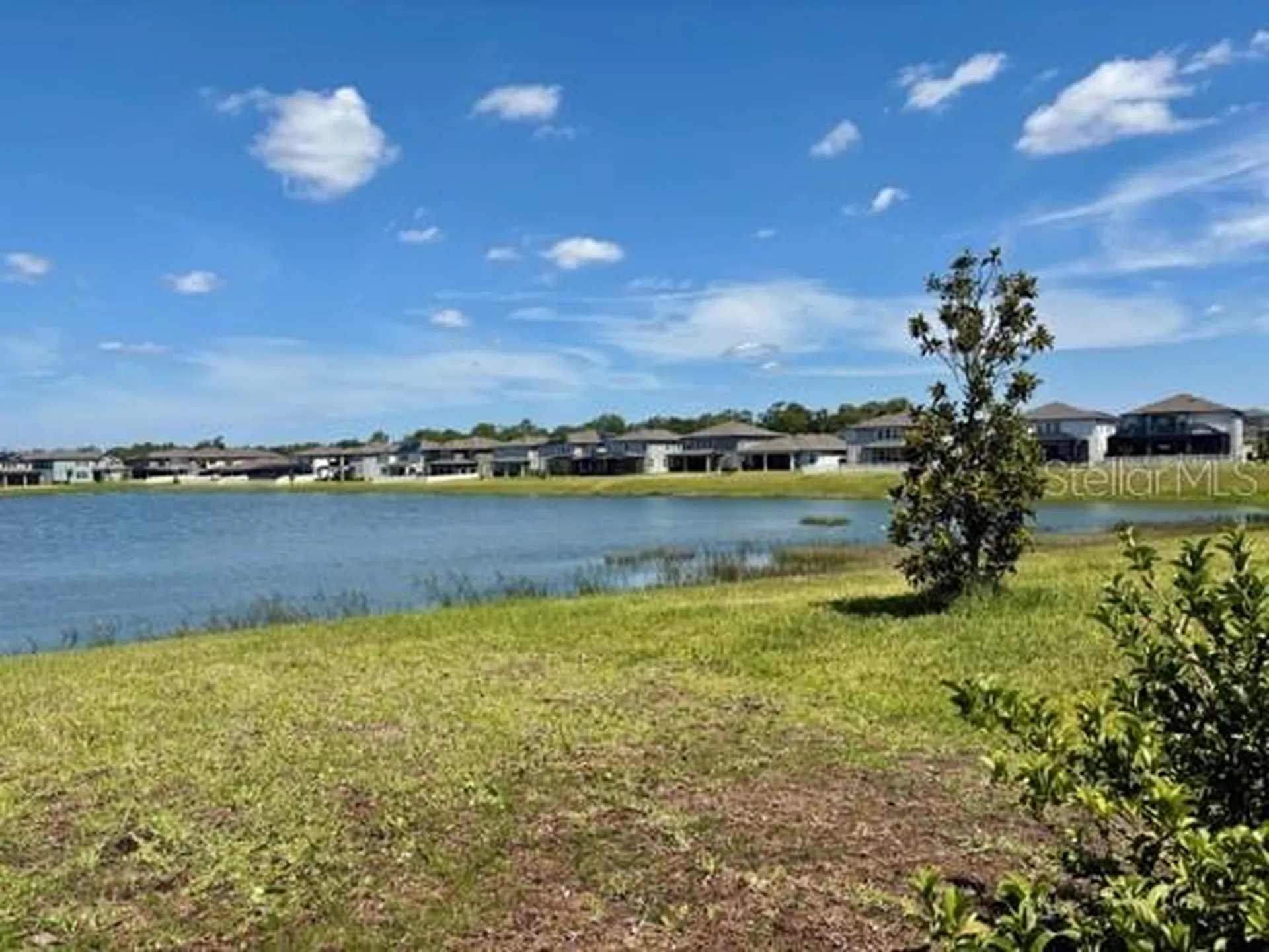 3091 Marine Grass Drive Wimauma FL 33598