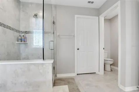 3091 Marine Grass Drive Wimauma FL 33598