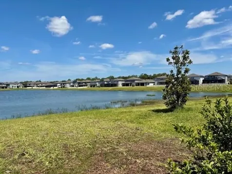 3091 Marine Grass Drive Wimauma FL 33598
