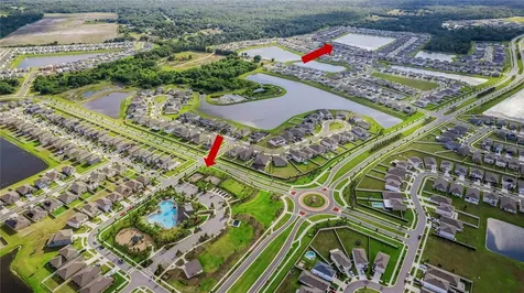 3091 Marine Grass Drive Wimauma FL 33598